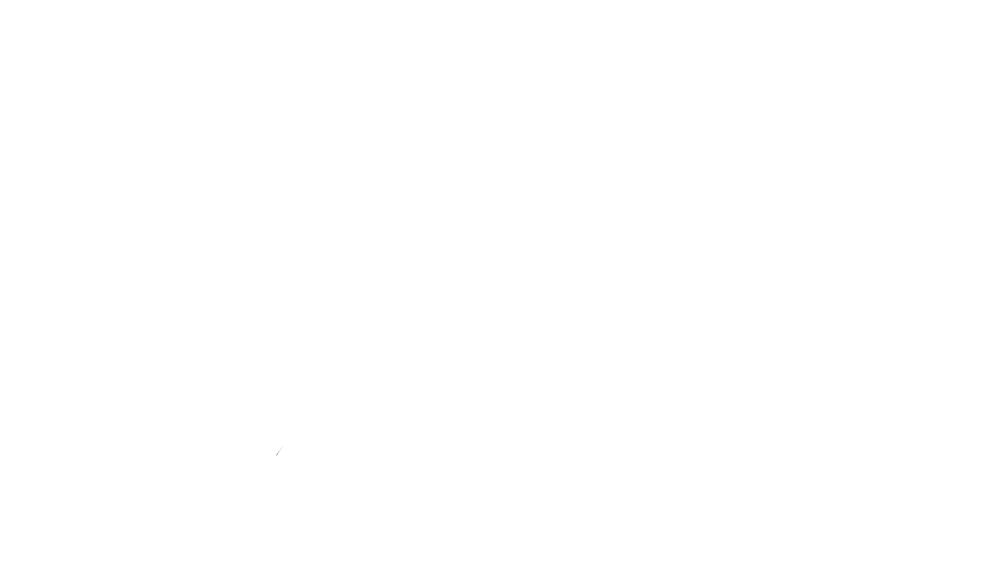 TremiX_Tim Logo weiß